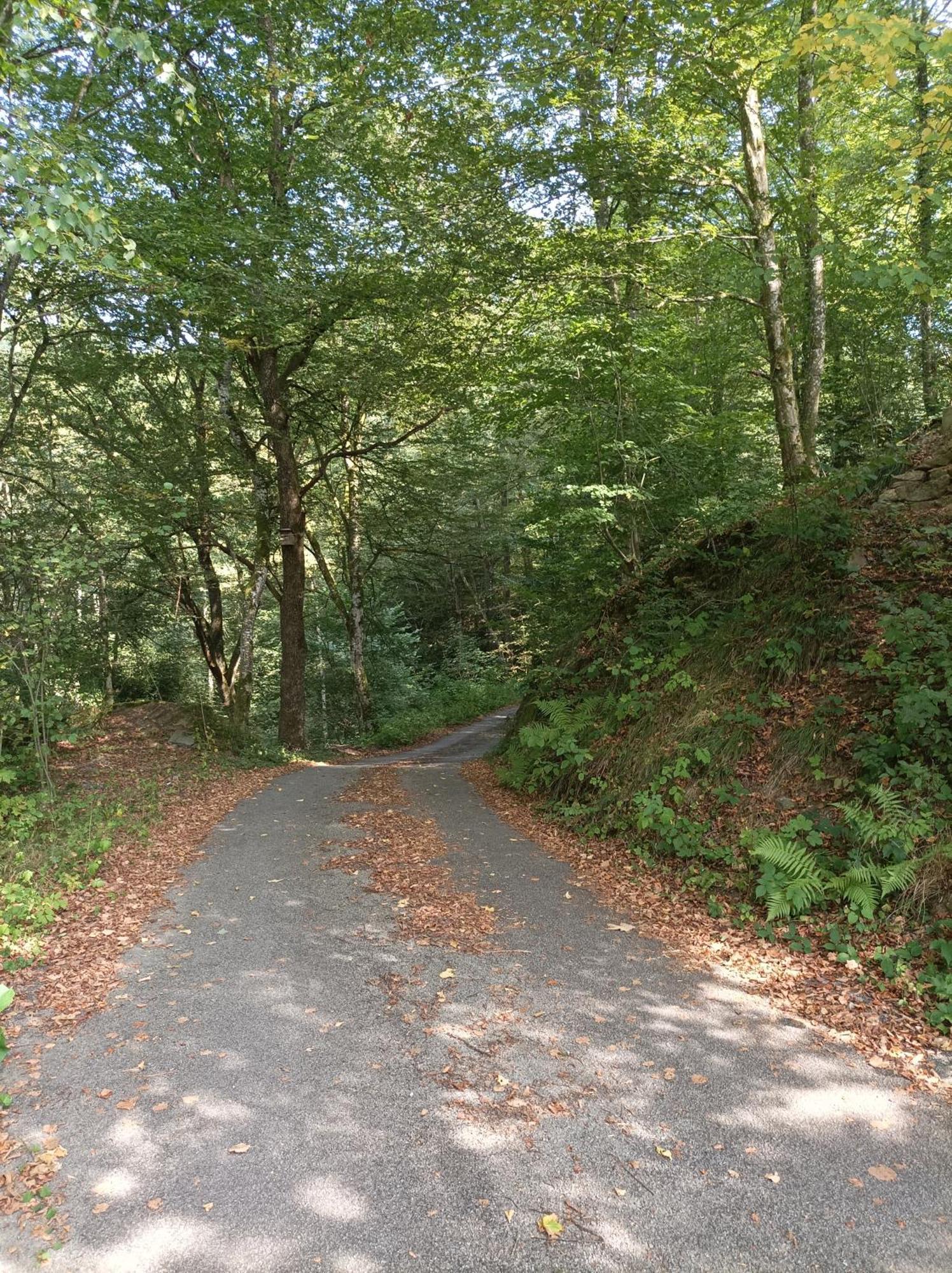 Burgberg Schoellnstein Iggensbach Zewnętrze zdjęcie