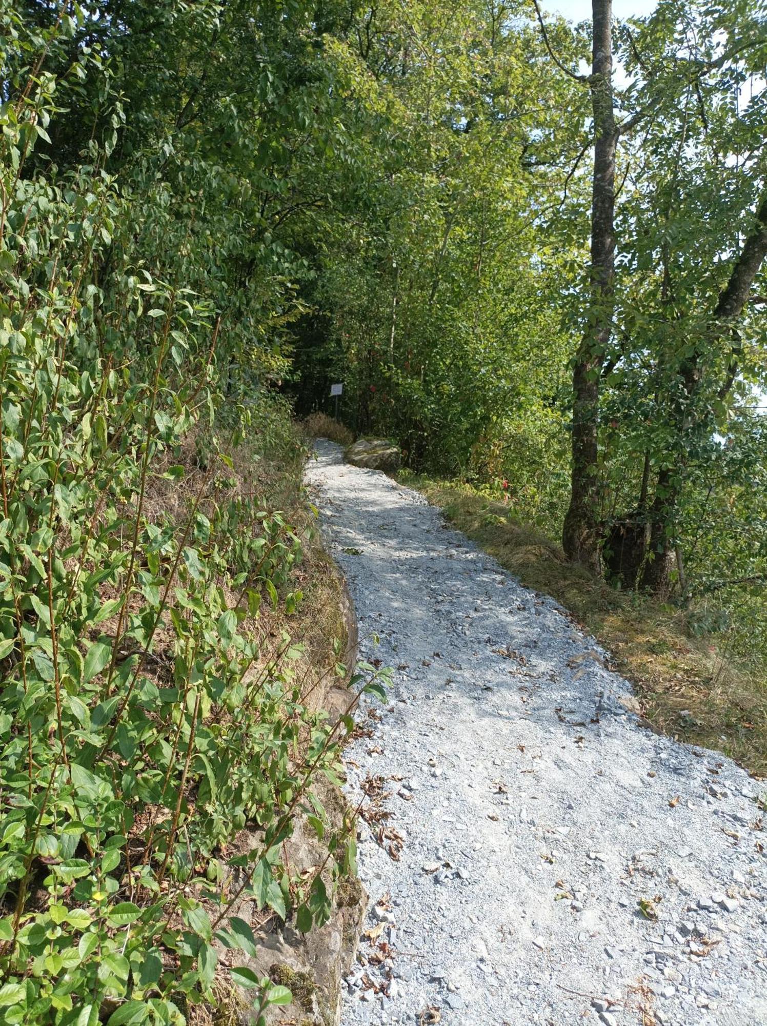 Burgberg Schoellnstein Iggensbach Zewnętrze zdjęcie