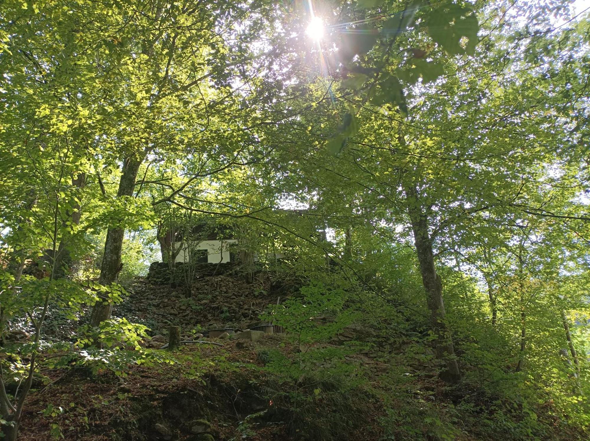 Burgberg Schoellnstein Iggensbach Zewnętrze zdjęcie
